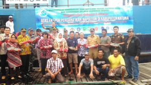 Sudah Memiliki Perizinan, Warga Natuna Sudah Boleh Ekspor Ikan Napoleon