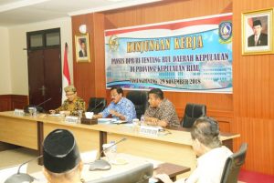 Nurdin Sambut Baik Kunjungan Kerja Pansus DPR RI Tentang RUU Daerah Kepulauan