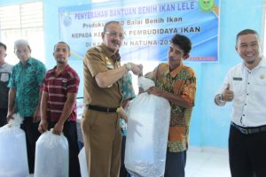 Bupati Serahkan Bibit Ikan Lele Hasil Produksi UPTD DP Natuna