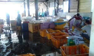 PERLUNYA PENGOLAHAN PERIKANAN BERKELANJUTAN