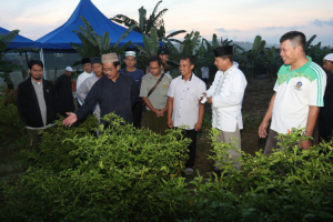 Serahkan Alsintan, Nurdin Ingin Produksi Meningkat