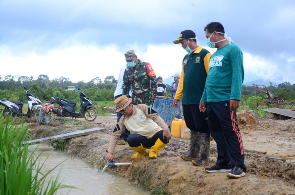 Bupati Lingga Hadapi Musim Tanam ke-II, Kadis PTP Pikul Tanggungjawab
