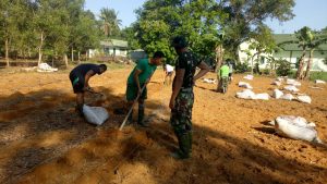 Ditengah Pandemi Corona, Kodim 0315 Bintan Tanam Jagung Seluas 1 Hektar