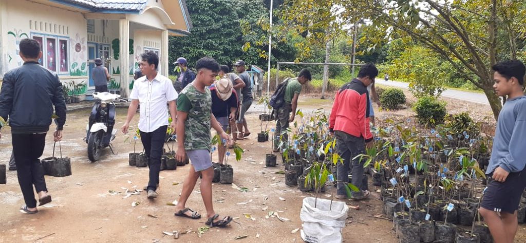 Desa Panggak Darat Serahkan 500 Bibit Durian Musang King ke Warga