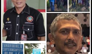 Diberi Ijin Alokasi, Banyak Perusahaan Menelantarkan Lahan