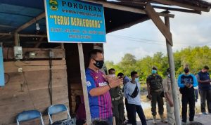 Perdana Desa Resang Dan Tinjul Panen Udang Vaname, Bupati Lingga : Sesuai Harapan