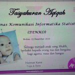 Nama Bayi Ini Dinas Komunikasi Informatika Statistik