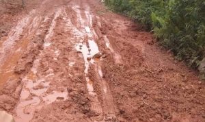 Bupati dan DPRD Lingga Tutup Mata Soal Infrastruktur, Listrik Kampung Sambau