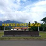 Pemkab Lingga Dapat Rapor Merah Standart Pelayanan Publik Oleh Ombudsman Kepri