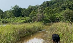 Normalisasi Kolong/Waduk Batu Kacang Singkep Bentuk Solusi Penanganan Banjir