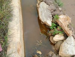 Sawah Mulai Berawa Dan Irigasi Jebol, Kades Bukit Langkap Tidak Mengetahui
