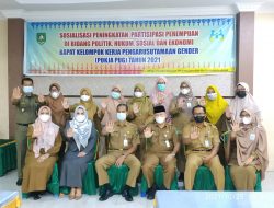 Wujudkan Kesetaraan dan Keadilan dalam Perlindungan Perempuan, DPP&PA Gelar Pokja PUG Tahun 2021