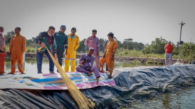 Peningkatan Ekonomi Masyarakat Budidaya Udang Vanamei Jadi Solusi