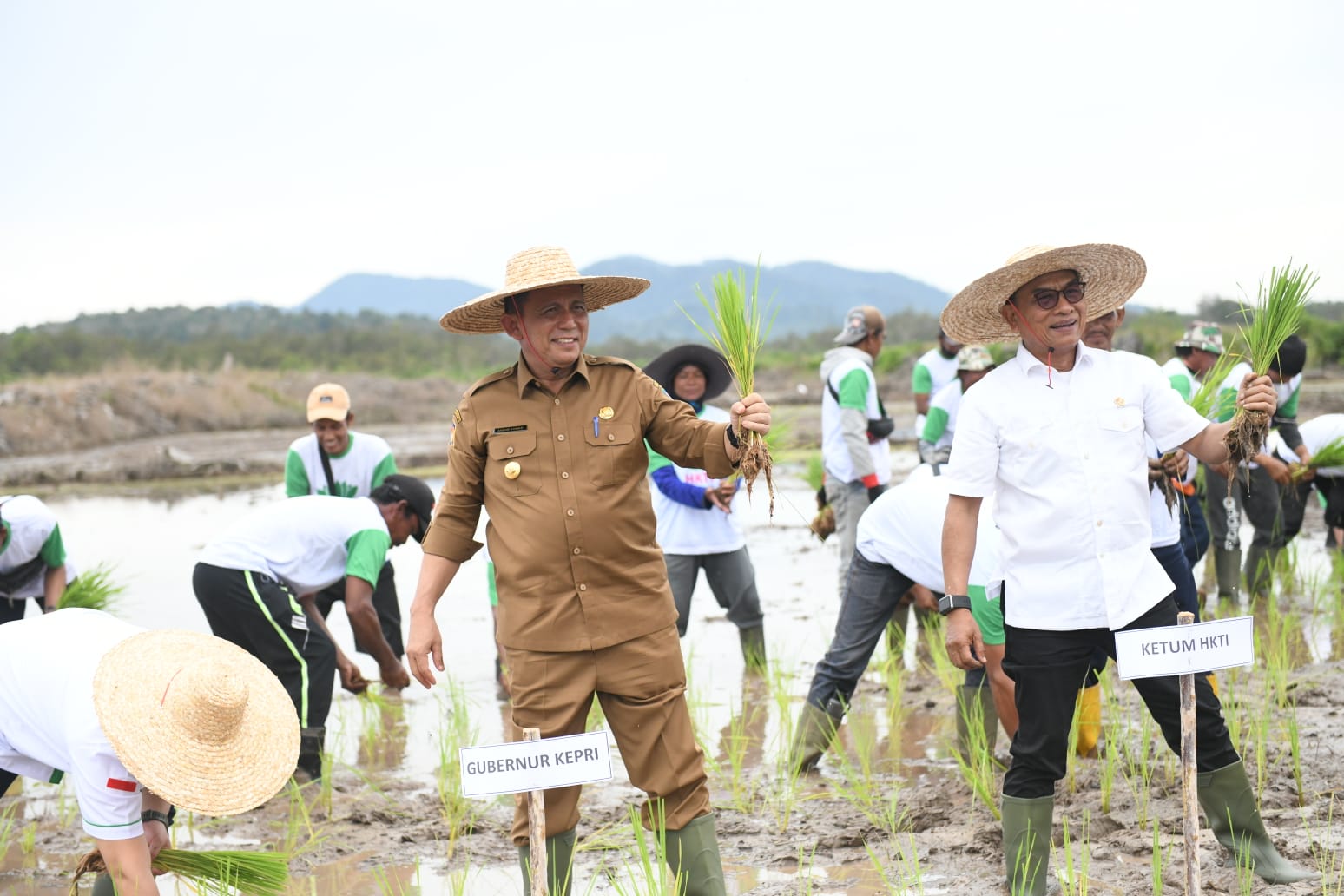 Gubernur Kepri, Ansar Ahmad bersama Staf Kepresidenan Moedolko saat ikut bercocok tanam padi./F.Ist