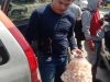 Penyelundupan 6.266 Butir Telur dari Tambelan, Berhasil Diamankan Polisi