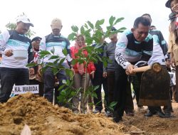 750 Bibit Pohon Kembali Ditanam di Dompak
