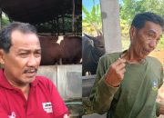 Pedagang Sapi Bahas Rumor Sulitnya Masukan Sapi Dari Luar