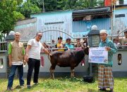 Berbagi Kebahagiaan, PT Pelindo Regional I Tanjungpinang Salurkan Hewan Kurban