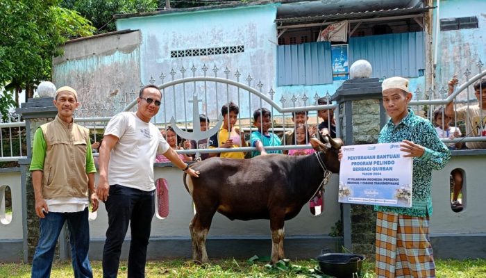Berbagi Kebahagiaan, PT Pelindo Regional I Tanjungpinang Salurkan Hewan Kurban
