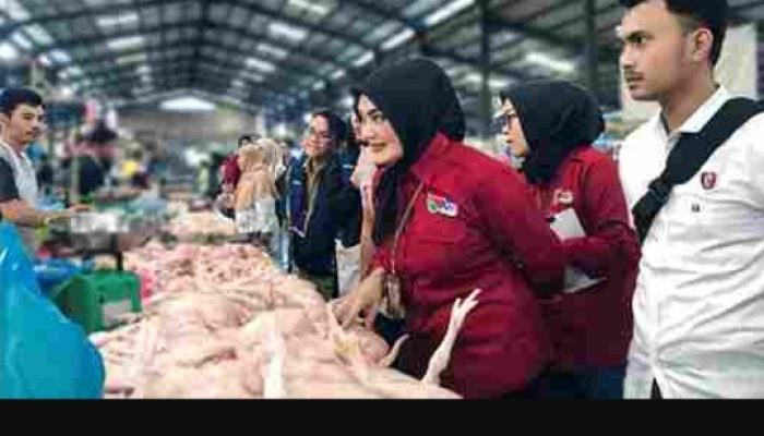 Jelang Nataru 2024, Tim Terpadu Sidak Harga Barang di Pasar