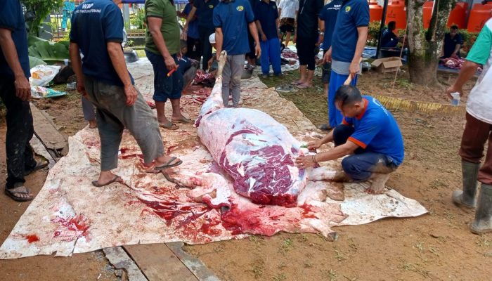 Lapas Kelas IIA Tanjungpinang Laksanakan Kurban 9 Ekor