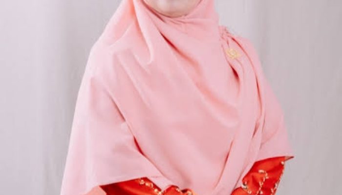 Absen RDP Bahas Rencana Pelelangan Taman Gurindam 12, Ismiyati Keukeh Menolak