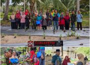 Balai Benih Pertanian Jemaja Dampingi KWT Kembang Seroja Desa Rewak Tanam Seribu Rumpun Sayur Hortikultura