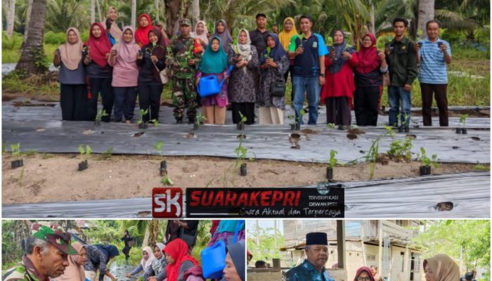 Balai Benih Pertanian Jemaja Dampingi KWT Kembang Seroja Desa Rewak Tanam Seribu Rumpun Sayur Hortikultura