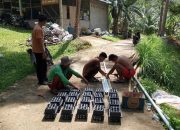 Medco E&P Bangun Ekonomi Pesisir Melalui Program SUAR di Kepulauan Anambas