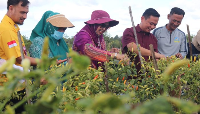 Dewi Kumalasari Ansar: Peran Dasawisma Kunci Ketahanan Pangan Desa