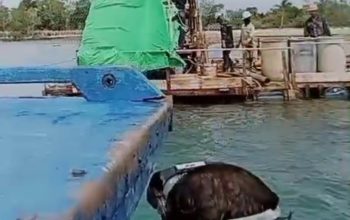 Apa Kabar Kasus Tragedi Kecelakaan Pekerja Pulau Poto? K3 PT Shandong Dipertanyakan