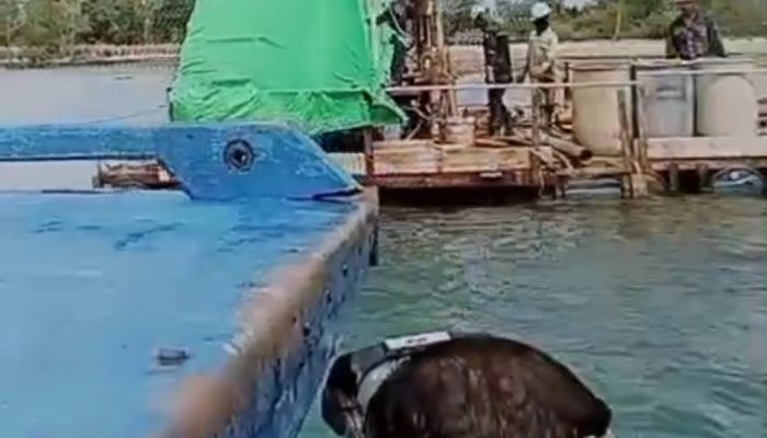 Apa Kabar Kasus Tragedi Kecelakaan Pekerja Pulau Poto? K3 PT Shandong Dipertanyakan