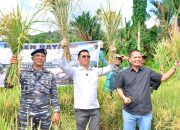 Panen Raya di HUT ke-18 Anambas: Bupati Aneng Turun ke Sawah, Alat Pertanian Langsung Disalurkan