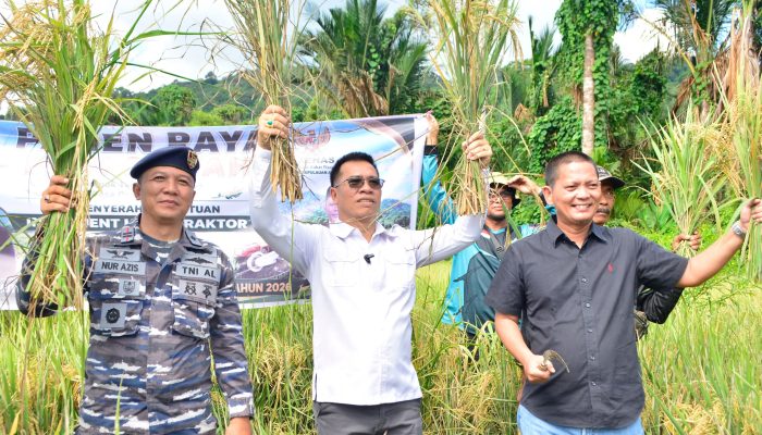 Panen Raya di HUT ke-18 Anambas: Bupati Aneng Turun ke Sawah, Alat Pertanian Langsung Disalurkan