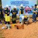 Bupati Aneng Resmi Letakkan Batu Pertama Gedung LAM Anambas, Simbol Kebangkitan Budaya Melayu