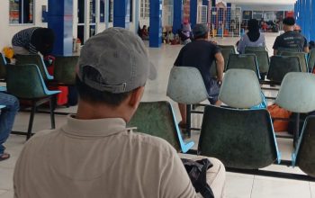 Sulit Login hingga Gagal Transaksi, Aplikasi PELNI Mobile Dikeluhkan Calon Penumpang