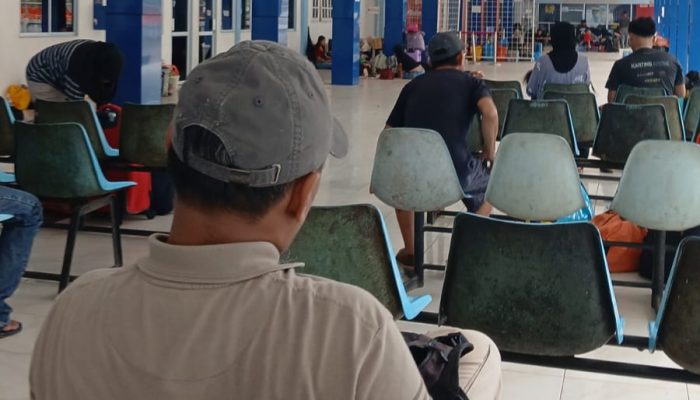 Sulit Login hingga Gagal Transaksi, Aplikasi PELNI Mobile Dikeluhkan Calon Penumpang
