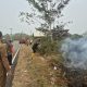Bupati Lingga Berjibaku Padamkan Karhutla di Sungai Besar