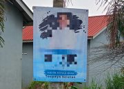 Poster Bakal Calon Kades Toapaya Selatan Terpasang di Pohon dan Tiang Listrik, Panitia Diminta Tegaskan Aturan