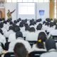 Usai SPPI dan Diklat KNMP, Kapan 5.159 Calon Manajer Mulai Bekerja? Pemerintah Masih Tata Penempatan