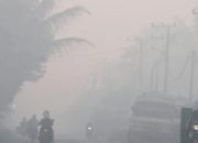 Kabut Asap Semakin Tebal, Kadinkes Minta Masyarakat Kurangi Aktivitas Diluar