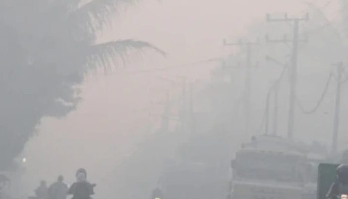 Kabut Asap Semakin Tebal, Kadinkes Minta Masyarakat Kurangi Aktivitas Diluar
