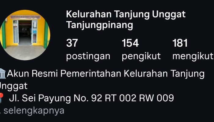 Akun Instagram Kelurahan Tanjung Unggat Diprivat Usai Diserbu Netizen, Lurah: Jangan Campur Urusan Pribadi dengan Instansi