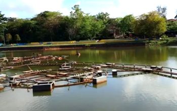 Rp12 Miliar Air Mancur Tasek Gemilang Mangkrak, Kejati Kepri Telusuri Proyek Kijang