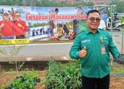 Bantu Warga Hemat Dapur, DP3 Tanjungpinang Putar Bibit Cabai dari 11 Kelompok Tani Binaan