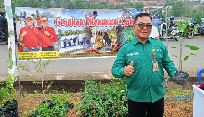 Bantu Warga Hemat Dapur, DP3 Tanjungpinang Putar Bibit Cabai dari 11 Kelompok Tani Binaan
